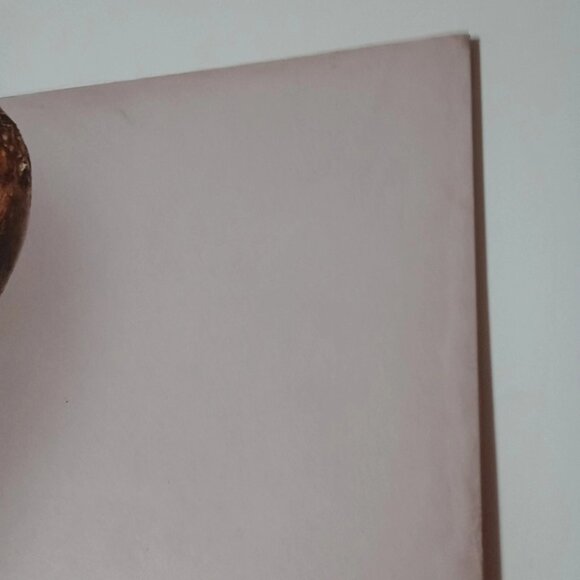 STAM1NA X Black Vinyl Gatefold LP Very Good Condition Record Unused Cover Wear - Picture 7 of 12